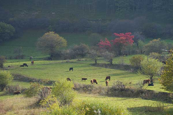四川九寨華美勝地旅遊度假區介紹