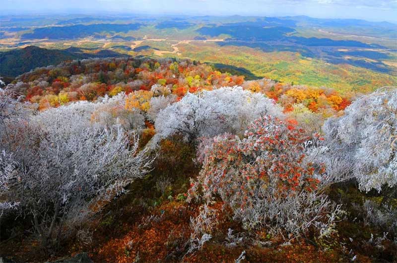 吉林秋季旅遊全攻略（2025年最新版）楓紅、金林、秘境、朝鮮族風味與火山湖，一篇全搞定！