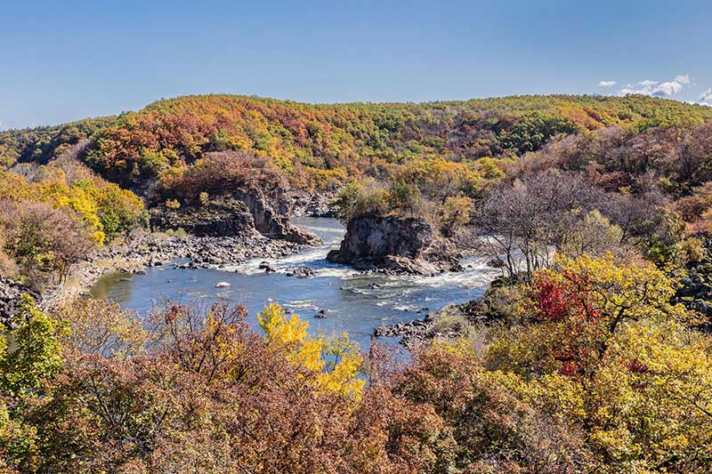 🍁黑龍江秋季旅遊攻略｜賞盡五花山、湖光林海與紅葉秘境（附路線＋美食推薦）