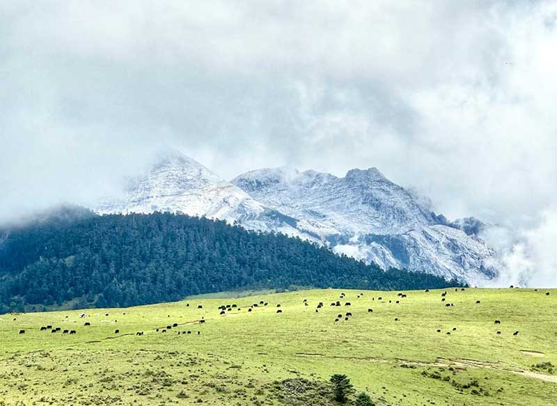 玉龍雪山旅遊全攻略
